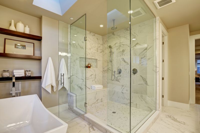 Modern Shower with Niche Storage